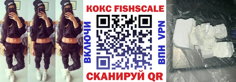 Cocaine FishScale  Купить где  Надым 
