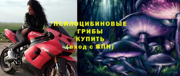 амф Арсеньев