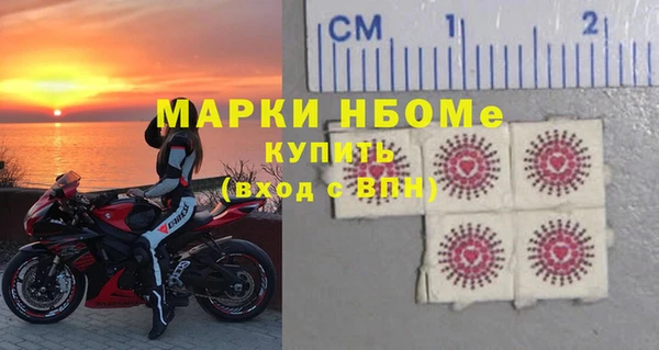 прущие грибы Каменка