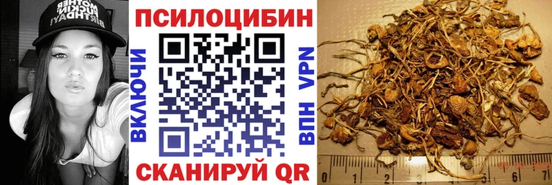 Псилоцибиновые грибы Magic Shrooms Надым