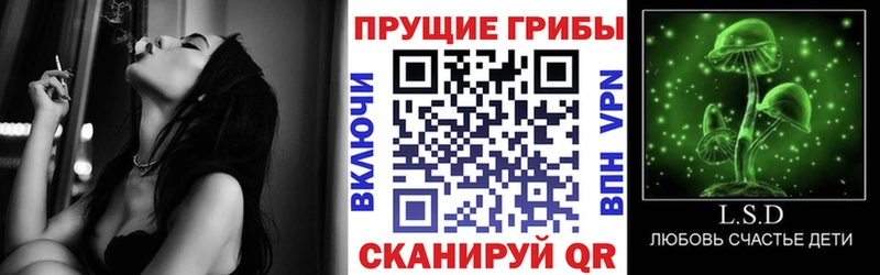 Купить закладки  Надым  Псилоцибиновые грибы прущие грибы 